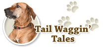 PC's Corner - Tail Waggin' Tales
